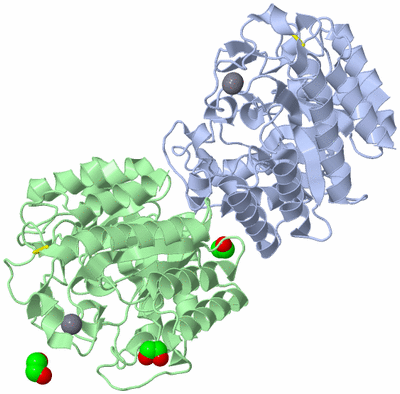 Image Asymmetric Unit