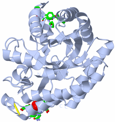 Image Biol. Unit 1 - sites