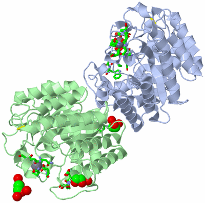 Image Asym. Unit - sites