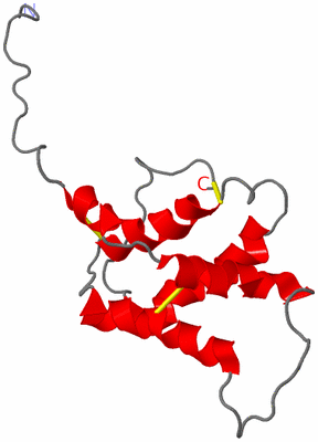 Image NMR Structure - model 1