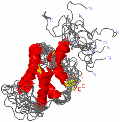 Image NMR Structure - all models