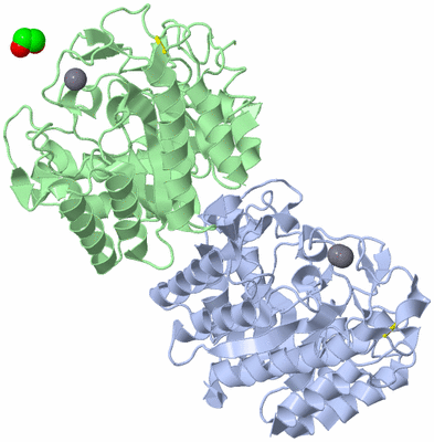 Image Asymmetric Unit