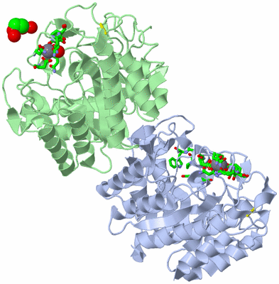 Image Asym. Unit - sites