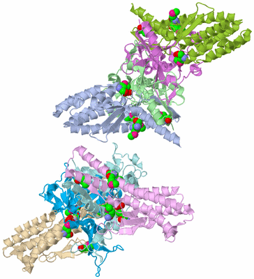 Image Asymmetric Unit