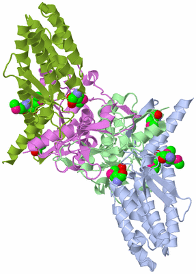 Image Biological Unit 1