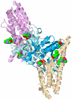 Image Biological Unit 2