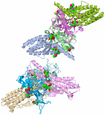 Image Asym. Unit - sites