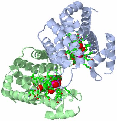 Image Asym./Biol. Unit - sites