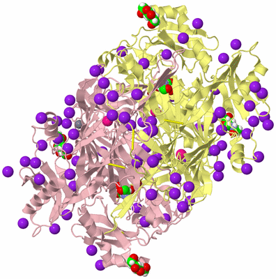 Image Biological Unit 2
