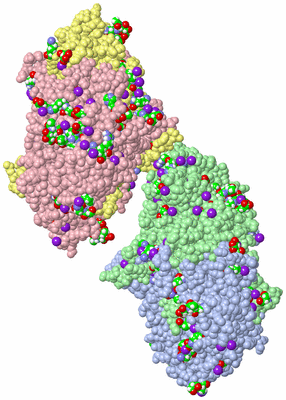 Image Asym. Unit - sites