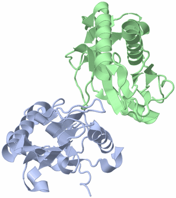 Image Asymmetric Unit