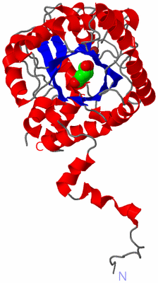 Image Asymmetric Unit