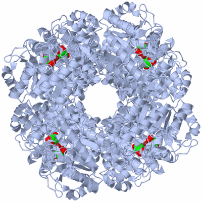 Image Biological Unit 1