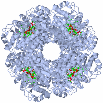 Image Biol. Unit 1 - sites