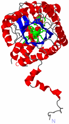 Image Asym. Unit - sites