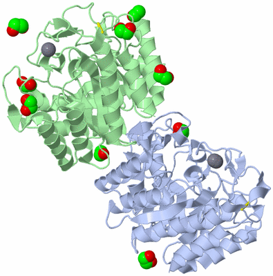Image Asymmetric Unit