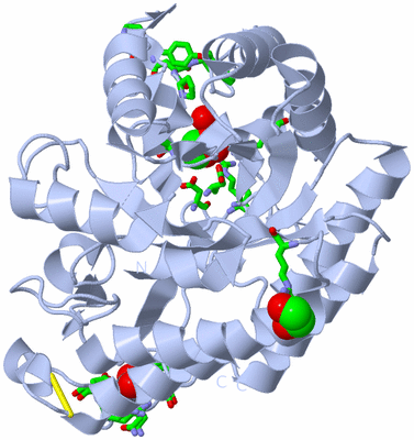Image Biol. Unit 1 - sites