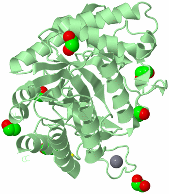 Image Biological Unit 2