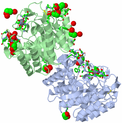 Image Asym. Unit - sites