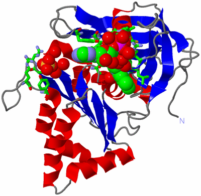 Image Asym./Biol. Unit - sites