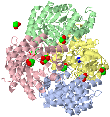 Image Asym./Biol. Unit