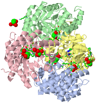 Image Asym./Biol. Unit - sites