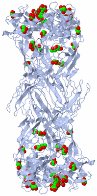 Image Biological Unit 1