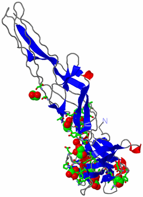 Image Asym. Unit - sites