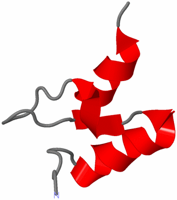 Image NMR Structure - model 1