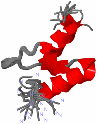 Image NMR Structure - all models