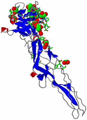 Image Asym. Unit - sites