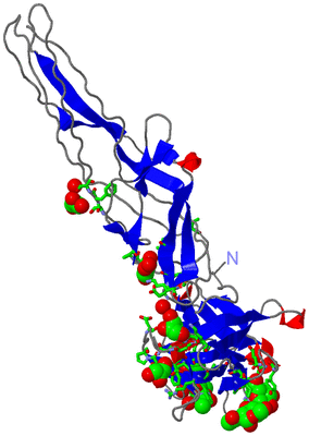 Image Asym. Unit - sites