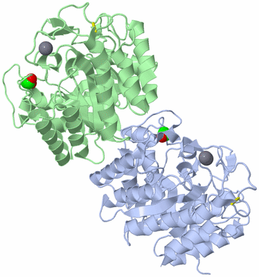 Image Asymmetric Unit