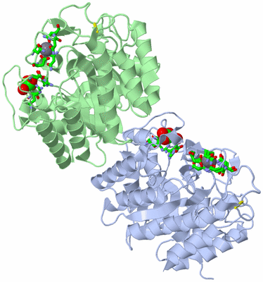 Image Asym. Unit - sites