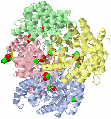 Image Asym./Biol. Unit