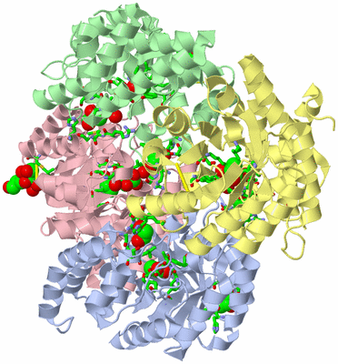 Image Asym./Biol. Unit - sites