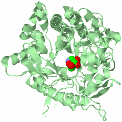 Image Biological Unit 2