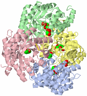 Image Asym./Biol. Unit