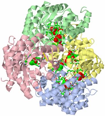 Image Asym./Biol. Unit - sites