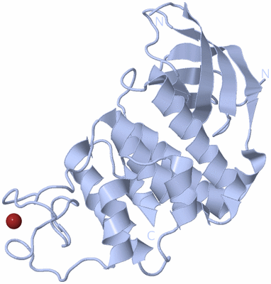 Image Biological Unit 1