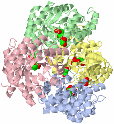 Image Asym./Biol. Unit