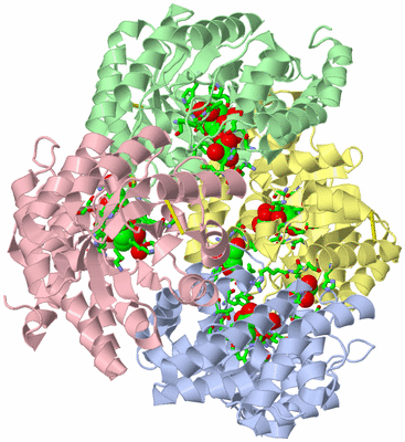 Image Asym./Biol. Unit - sites