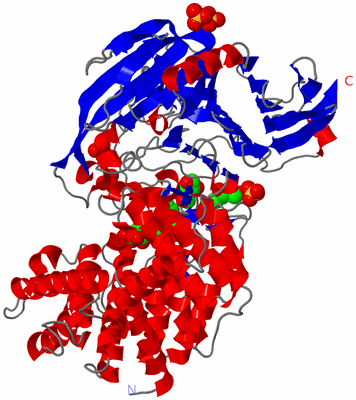 Image Asym./Biol. Unit