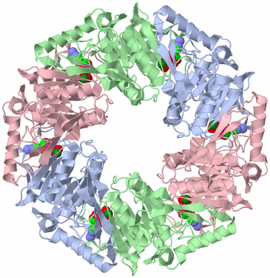 Image Biological Unit 1