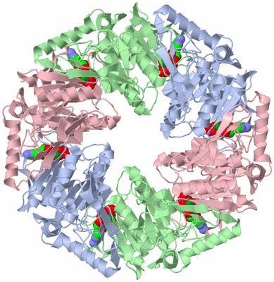 Image Biological Unit 1