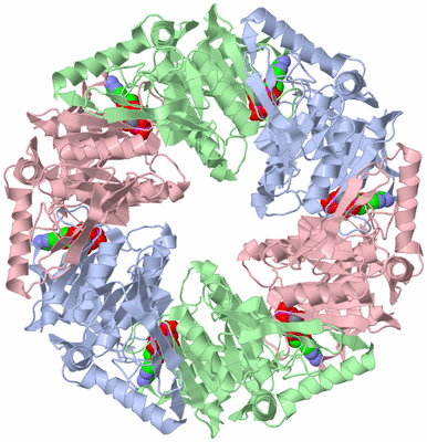 Image Biological Unit 1