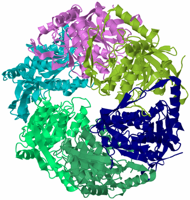 Image Biological Unit 3