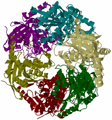 Image Biological Unit 4