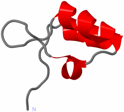 Image NMR Structure - model 1