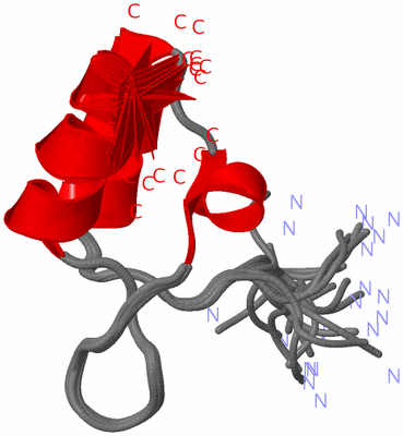 Image NMR Structure - all models